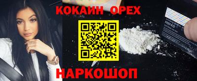 мдпв Камышлов