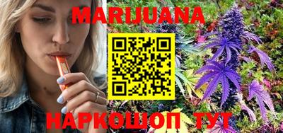 мдпв Камышлов